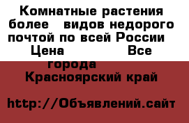 Комнатные растения более200видов недорого почтой по всей России › Цена ­ 100-500 - Все города  »    . Красноярский край